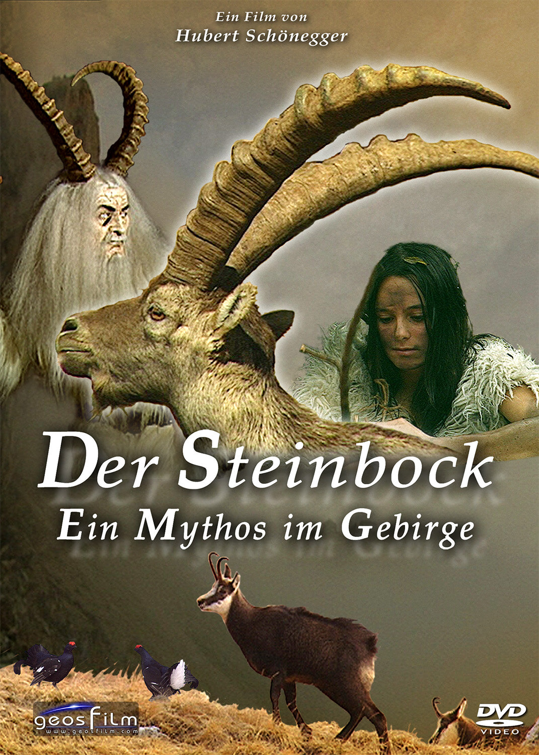 Der Steinbock – Ein Mythos im Gebirge