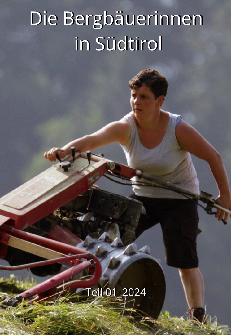 Stream - Mein Weg zurück - Tedesco (Copy) (Copy)